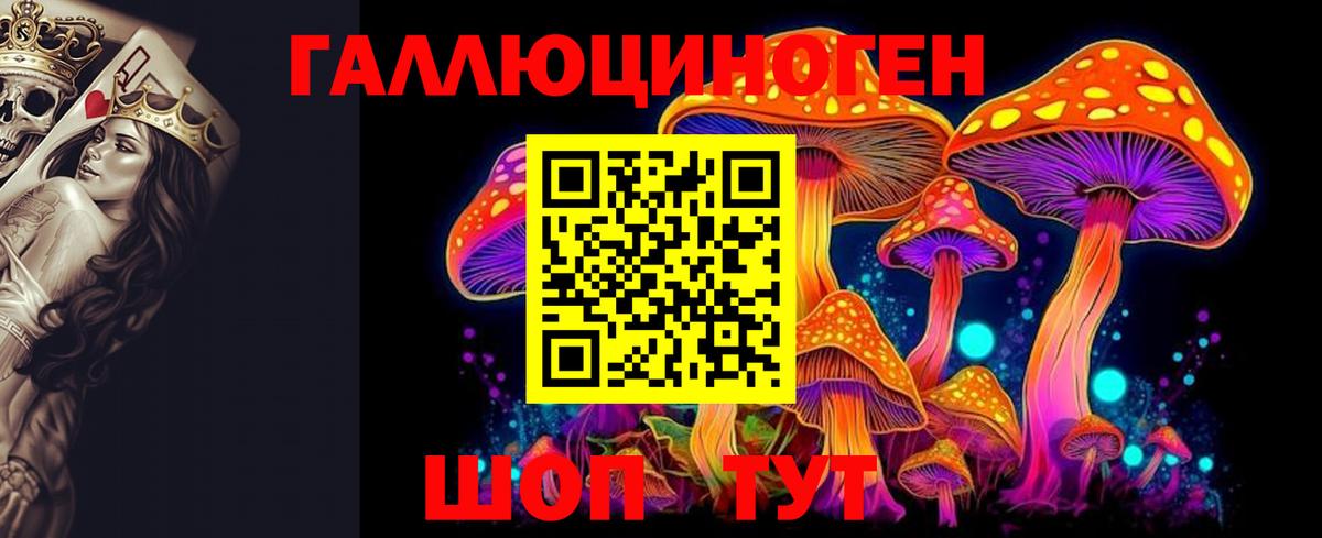 Галлюциногенные грибы Psilocybine cubensis  закладки  Дагестанские Огни  Вход с VPN 