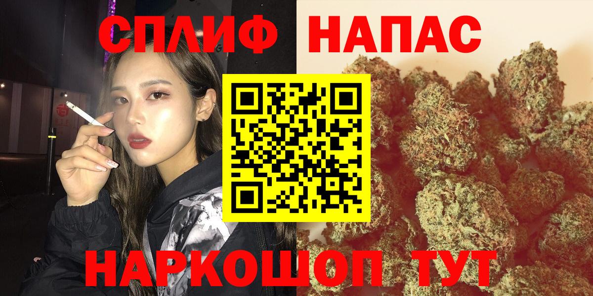 Канабис ГИДРОПОН  Канабис планчик  Каннабис Ganja  Дагестанские Огни  Вход с VPN 